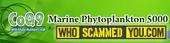 CoQ9MarinePhytoplankton5000 Scammers